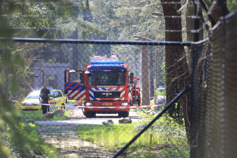 Neergestort vliegtuig hangt in boom