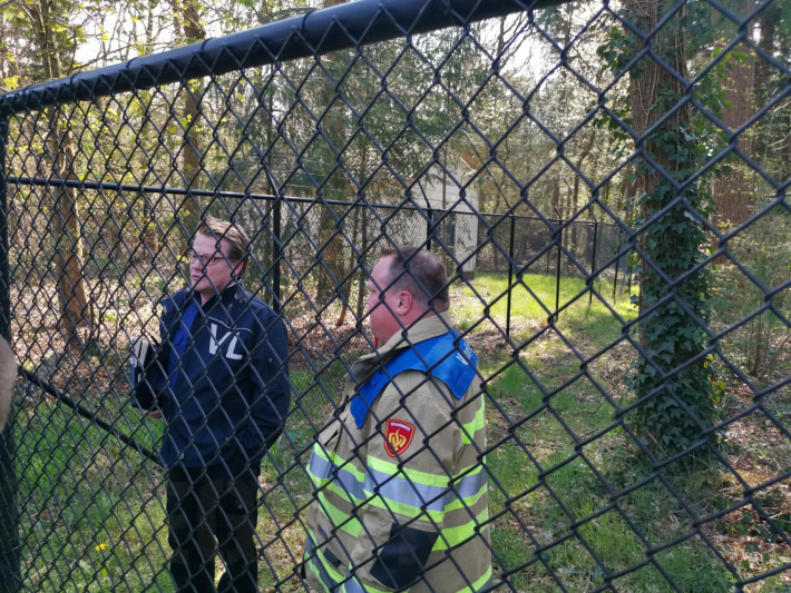 Neergestort vliegtuig hangt in boom