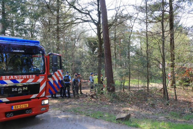 Neergestort vliegtuig hangt in boom