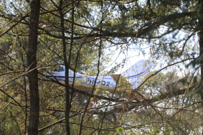 Neergestort vliegtuig hangt in boom