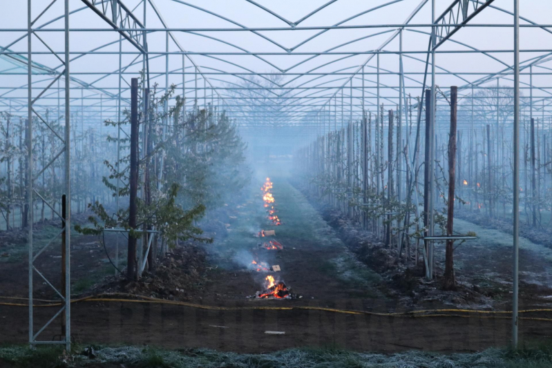 Kersenbomen roken zorgt voor flinke rookontwikkeling