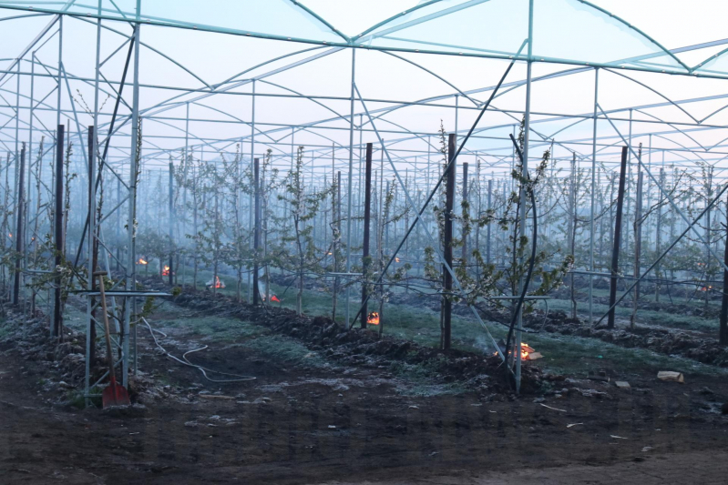 Kersenbomen roken zorgt voor flinke rookontwikkeling