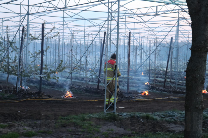 Kersenbomen roken zorgt voor flinke rookontwikkeling