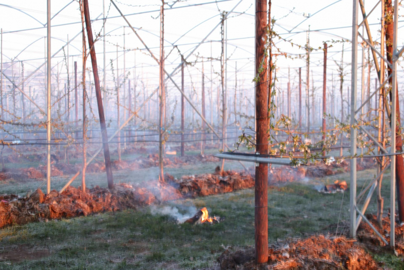 Kersenbomen roken zorgt voor flinke rookontwikkeling
