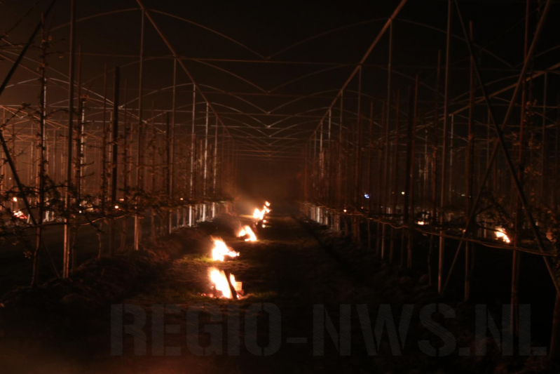 Nachtwerk voor fruitkwekers door vorst