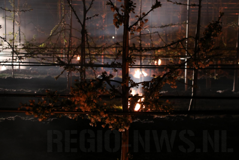 Nachtwerk voor fruitkwekers door vorst