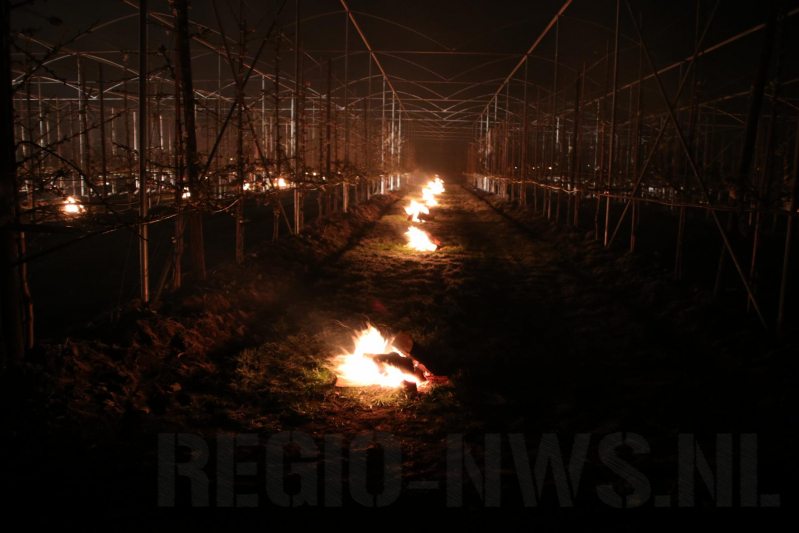 Nachtwerk voor fruitkwekers door vorst