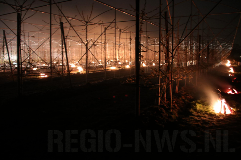 Nachtwerk voor fruitkwekers door vorst
