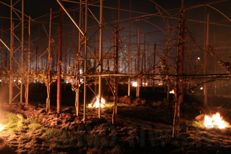 Nachtwerk voor fruitkwekers door vorst