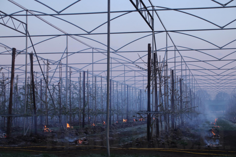 Nachtwerk voor fruitkwekers door vorst