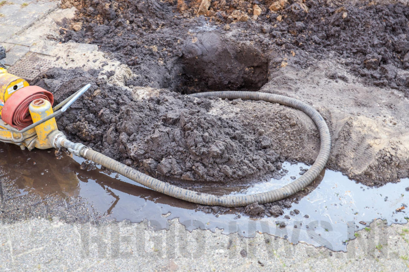 Wortels bomen doorboren waterleiding