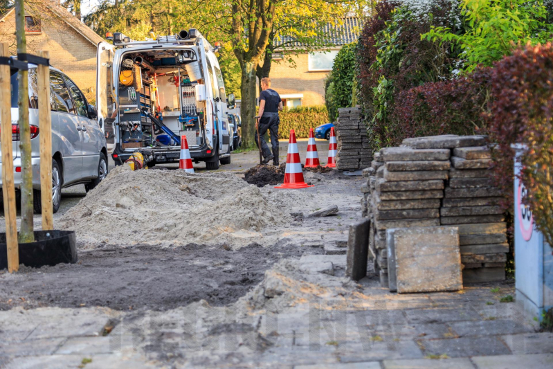 Wortels bomen doorboren waterleiding