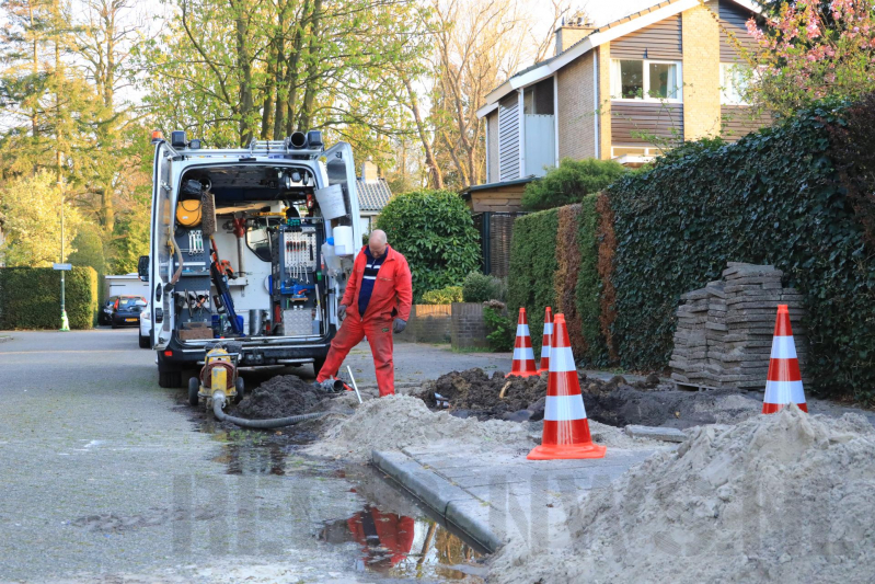 Wortels bomen doorboren waterleiding