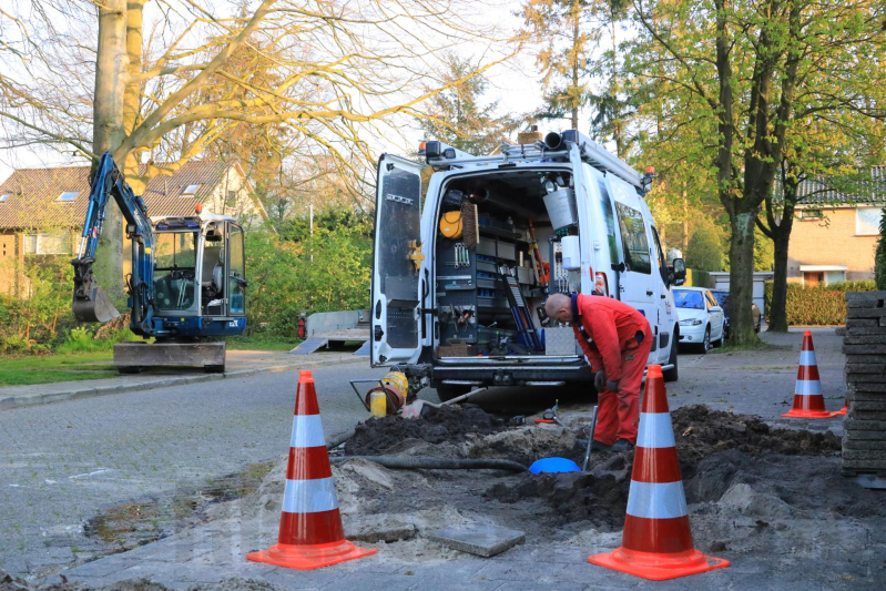 Wortels bomen doorboren waterleiding