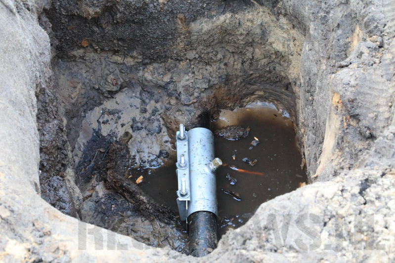 Wortels bomen doorboren waterleiding
