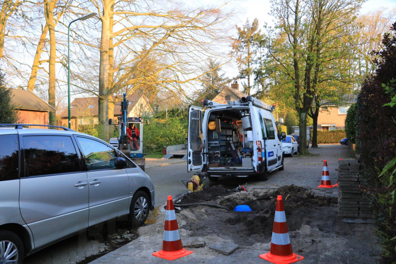 Wortels bomen doorboren waterleiding