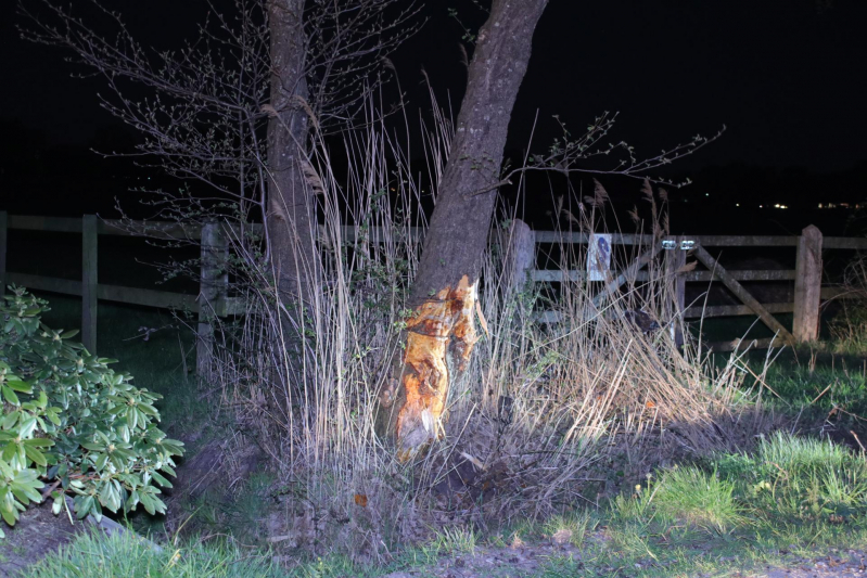 Auto beland op zijn dak na botsing met boom