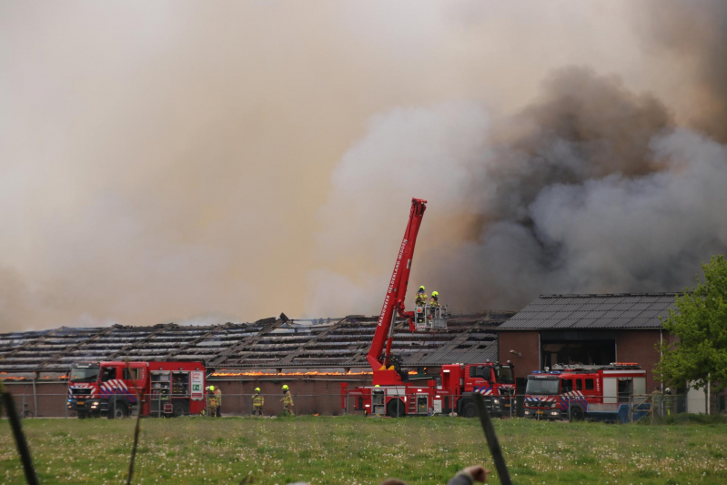 Grote kippenschuur met mogelijk 16.000 kippen in brand