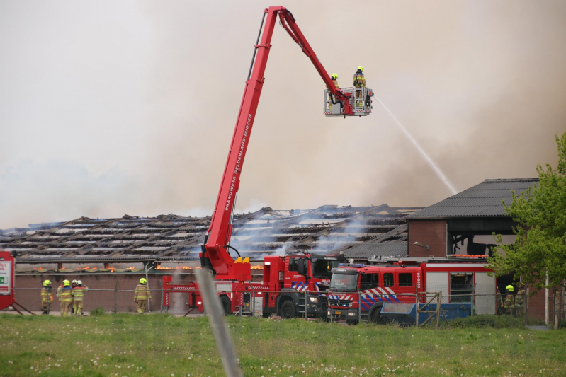 Grote kippenschuur met mogelijk 16.000 kippen in brand