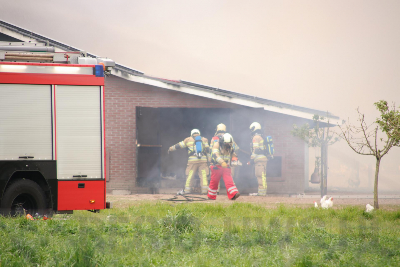 Grote kippenschuur met mogelijk 16.000 kippen in brand