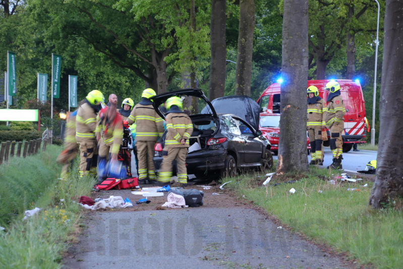 Auto klapt frontaal op boom