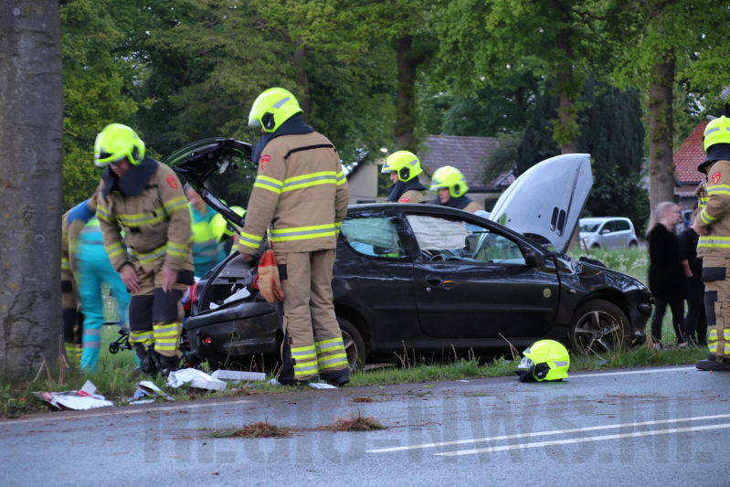 Auto klapt frontaal op boom