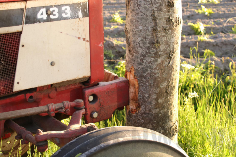 Trekker botst op boom; bestuurder gewond