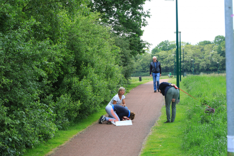 Hondje aangevallen door uitgebroken herder