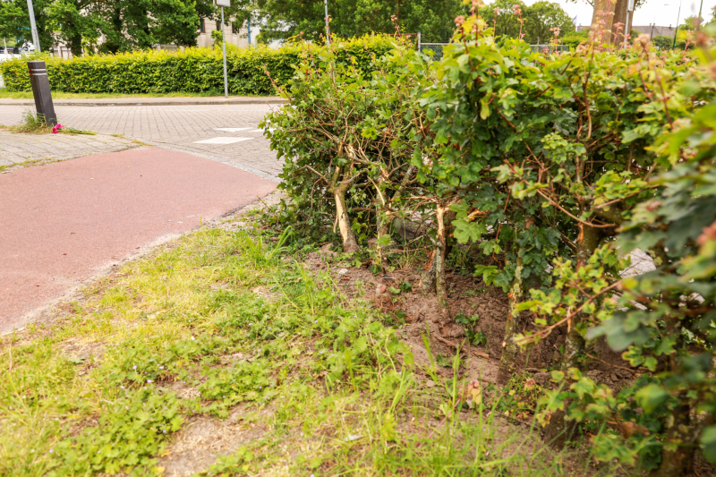 Scooterrijder (55) overleden bij noodlottig ongeval
