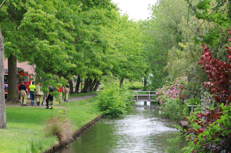 Eend met gebroken poot vlucht