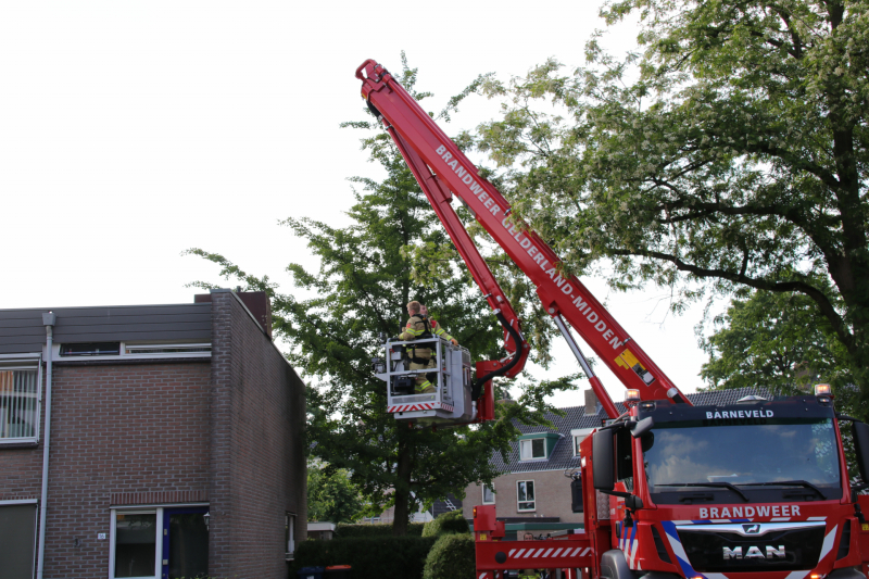 Poes wordt gewekt door de brandweer en vlucht het dak op