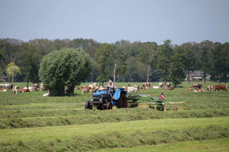 Boeren profiteren maximaal van het weer tijdens het hooien