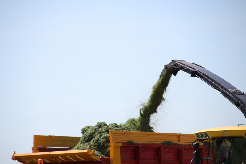 Boeren profiteren maximaal van het weer tijdens het hooien