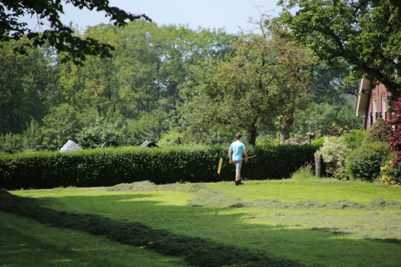 Boeren profiteren maximaal van het weer tijdens het hooien