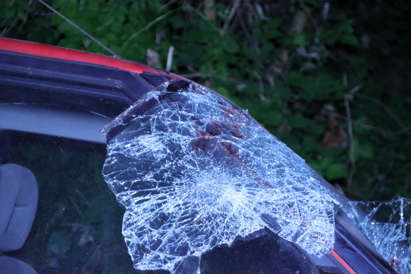 Gewonde bestuurder vlucht na crash