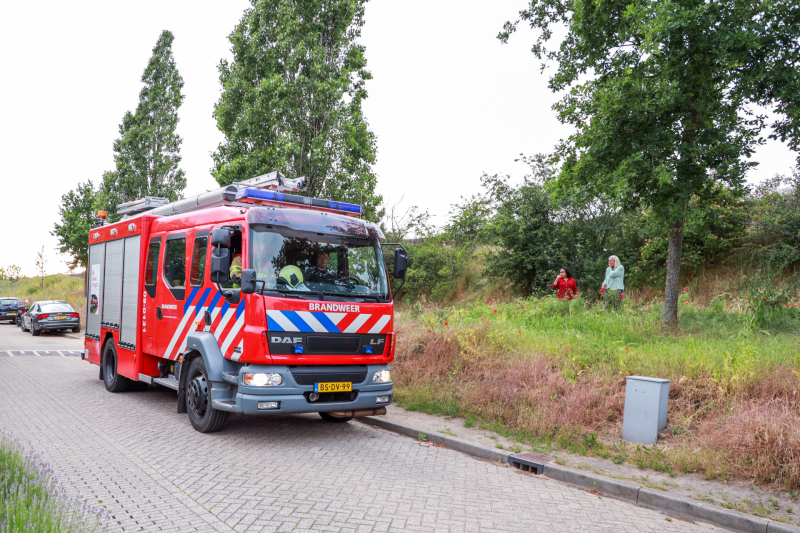 Brand op geluidswal