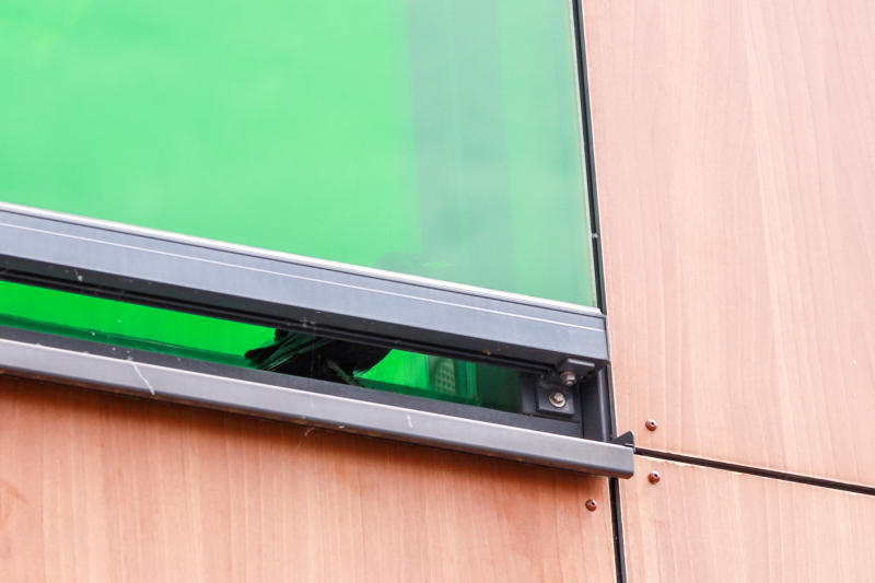 Vogel vliegt tegen raam en zit vast