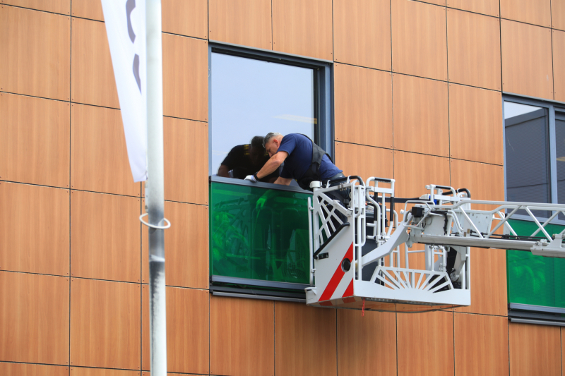Vogel vliegt tegen raam en zit vast