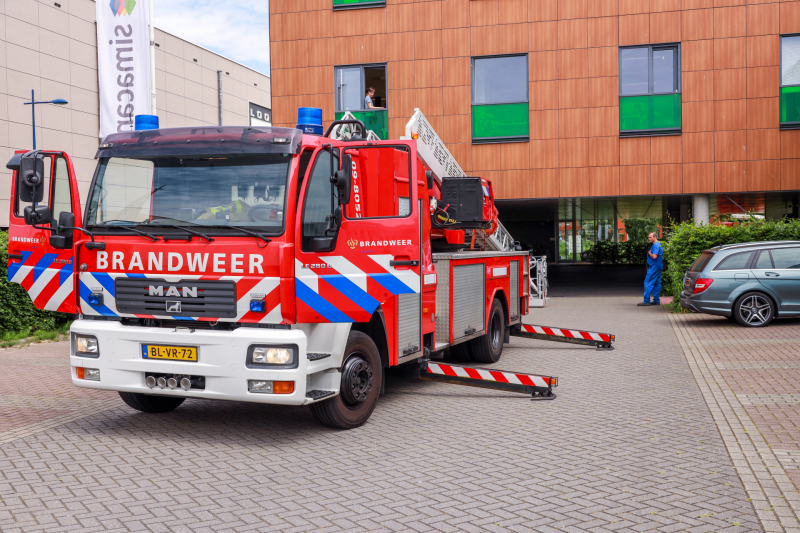 Vogel vliegt tegen raam en zit vast