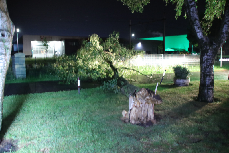 Veel stormschades in midden Nederland