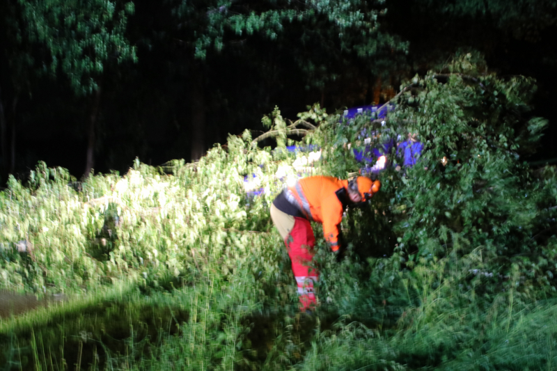 Veel stormschades in midden Nederland