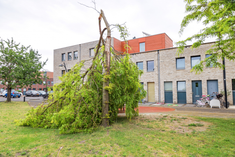 Boom omgeknakt door storm