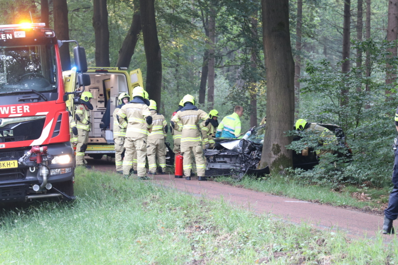 Auto botst op boom