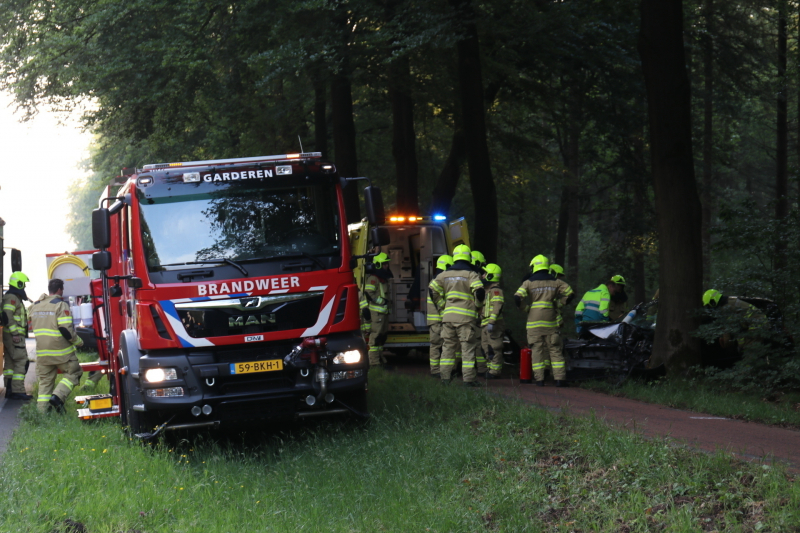 Auto botst op boom