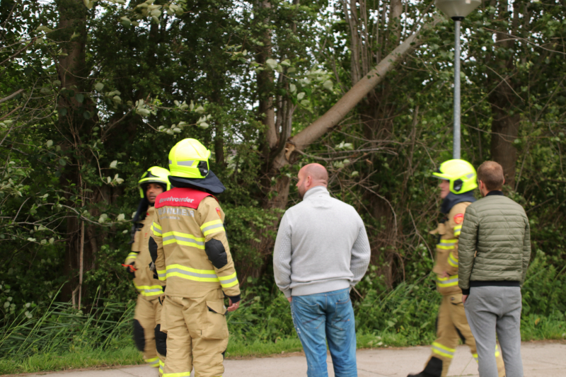 Afgesloten fietspad vanwege afgescheurde boom