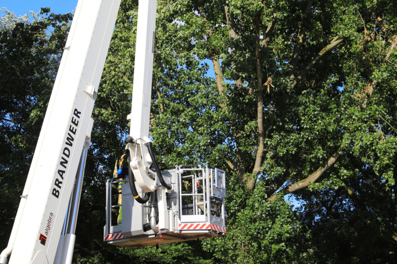 Meerdere levensgevaarlijk takken verwijderd