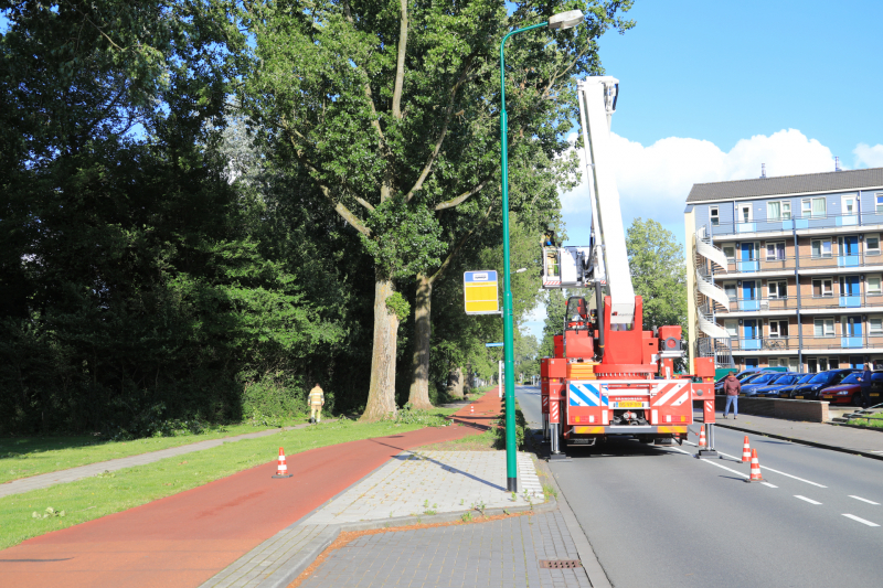 Meerdere levensgevaarlijk takken verwijderd