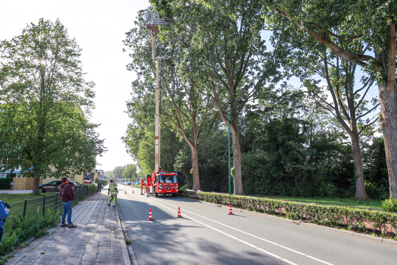 Meerdere levensgevaarlijk takken verwijderd