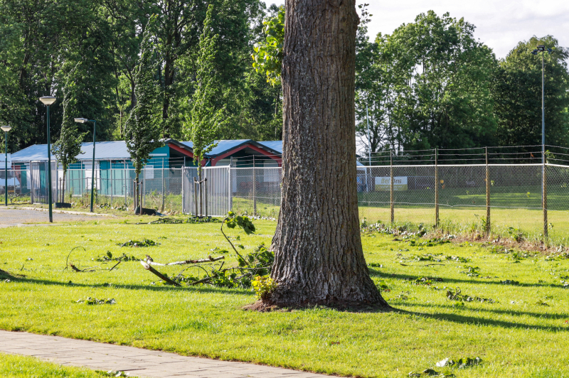 Meerdere levensgevaarlijk takken verwijderd