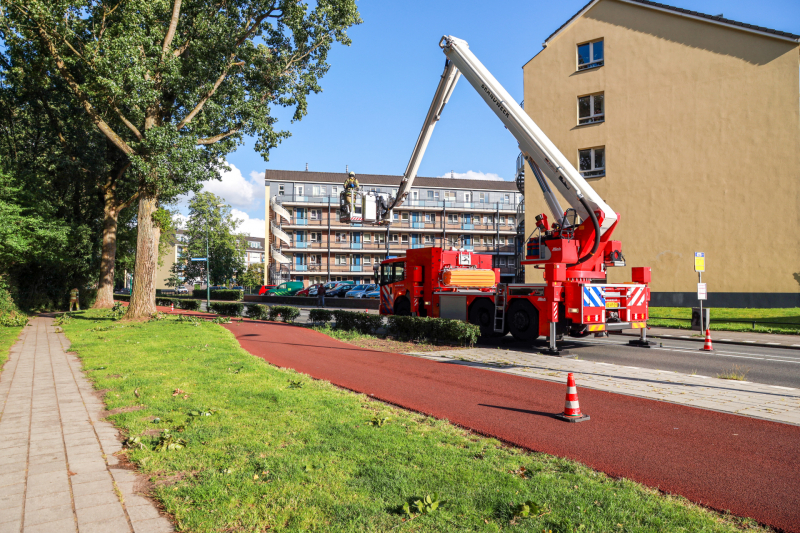 Meerdere levensgevaarlijk takken verwijderd